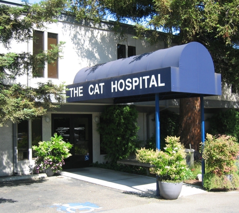 The Cat Hospital - Campbell, CA