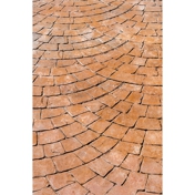 Gallery Image Number 6