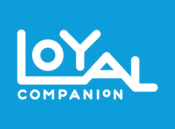 Loyal Companion - Arlington, VA