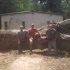 Benton Tree Service