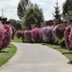 Boulder Creek Golf Club & Event Center