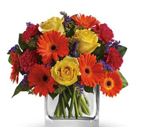 Mossman Florist - Mossman, QLD