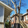 Ashland Tree Service gallery