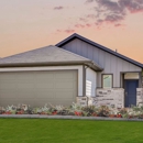 Hockley Meadows 40s - Taylor Morrison - Real Estate Developers