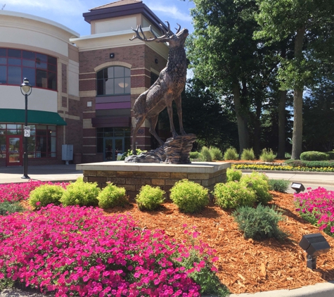 Sylva Corporation, Inc. - Princeton, MN. Landscape with Goldenrod™ mulch.