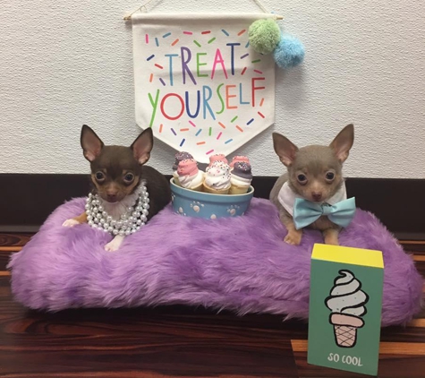 Furry Babies Inc. - Joliet, IL