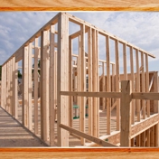 Gallery Image Number 6