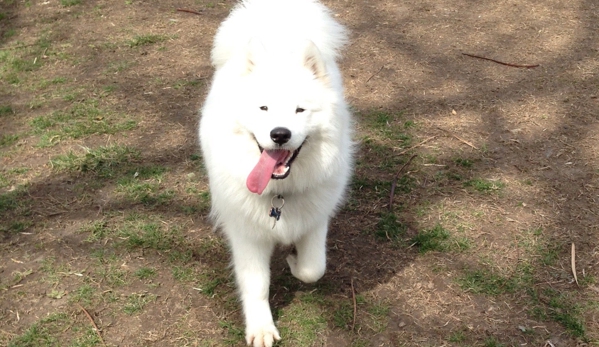 University City Dog Park - Saint Louis, MO