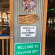 Dolphin Spit Saloon