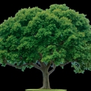 Complete Care - Tree Service