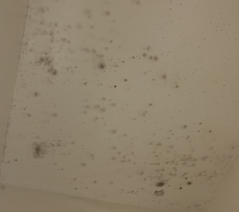 Navajo Motel - Phoenix, AZ. Room 17 has black Mold management refuses to do anything and me and my girl getting kick out because we complain pay for a week