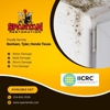 Spartan Restoration gallery