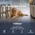 Metamorphosis Floor Covering Inc - Abbey Carpet & Floor