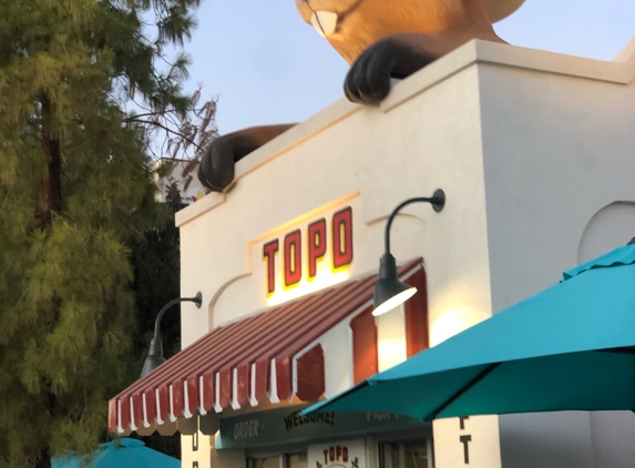 Topo - Gilbert, AZ