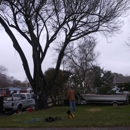 PAULS TREE SERVICE - Tree Service