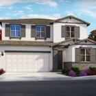 Tramore Village at Vanden Meadows by Meritage Homes