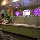 YogurtLand - Ice Cream & Frozen Desserts