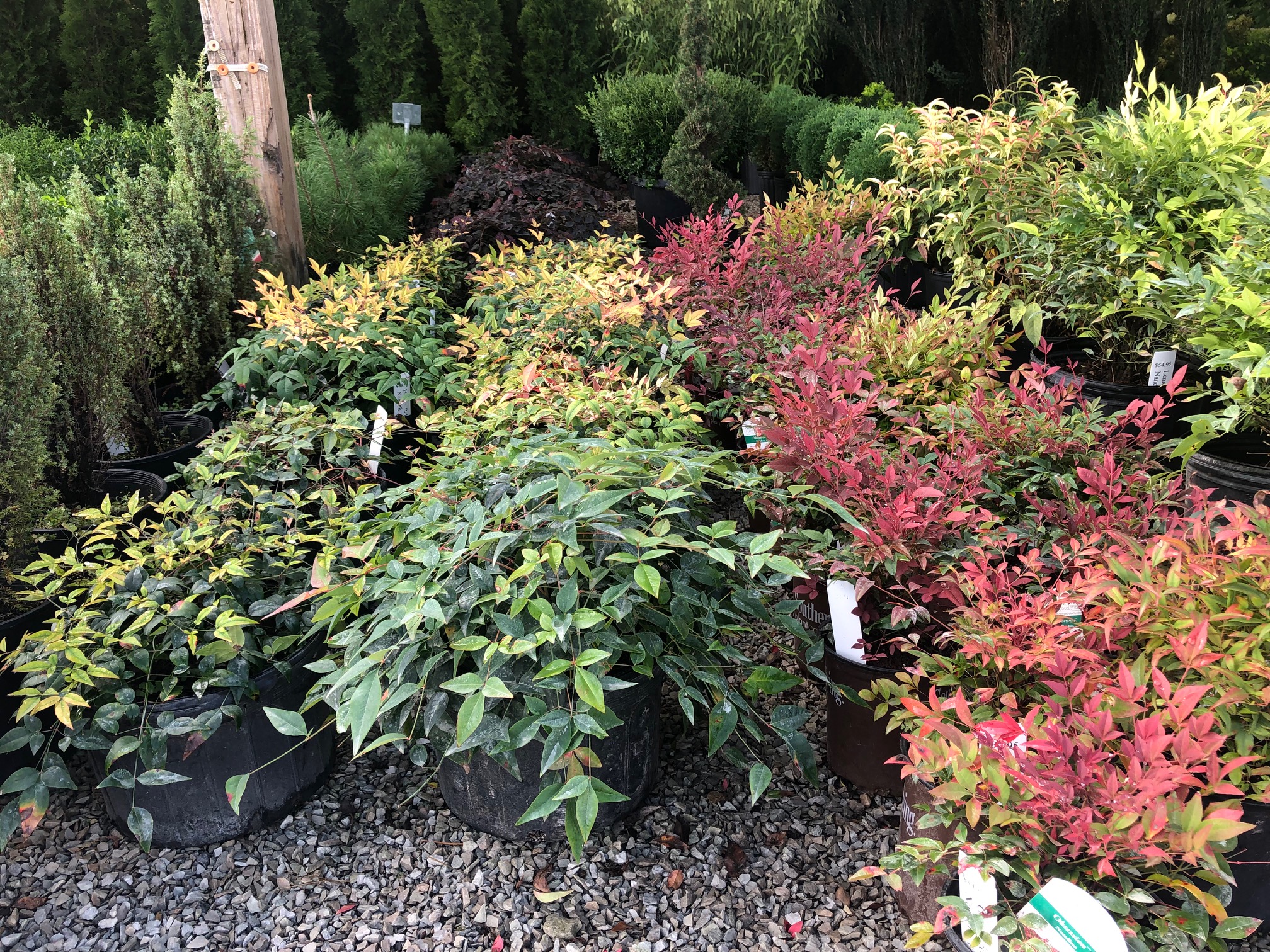 Ken Mulch Inc - Louisville, KY 40219