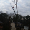 MYTREEMAN TREE SERVICE gallery