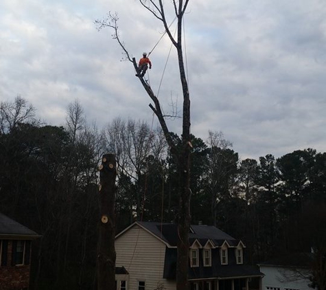 MYTREEMAN TREE SERVICE - Marietta, GA