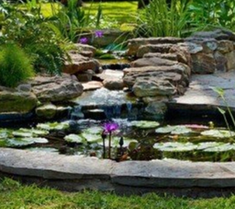 Plan & Planting Associates, Inc - Houston, TX