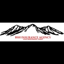 BSH Insurance Agency - Insurance