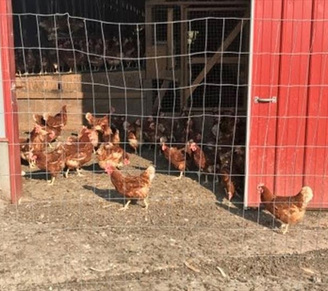 Milo's Poultry Farms - Bonduel, WI