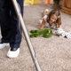 Smile Carpet Cleaning Bellaire