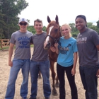 Maybury Riding Stable