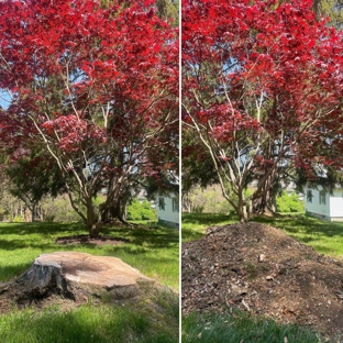 Stump Wrecker - Latham, NY. Tree Stump North Adams Mass