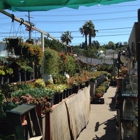 Echo Garden Nursery