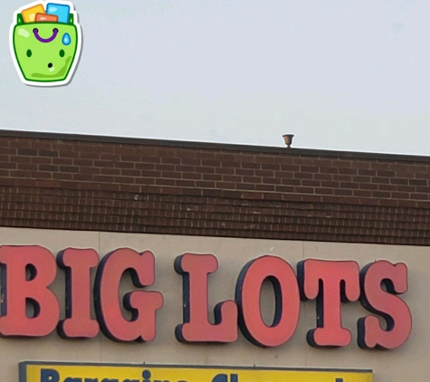 Big Lots - Round Lake Beach, IL