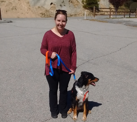 New Walk K9 Training. - Riverside, CA