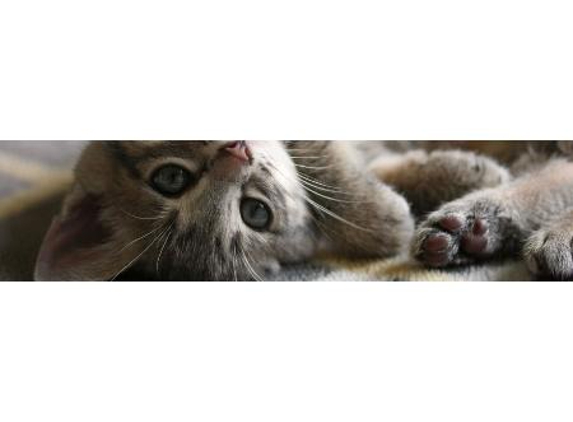 Lindisfarne Veterinary Clinic - Lindisfarne, TAS
