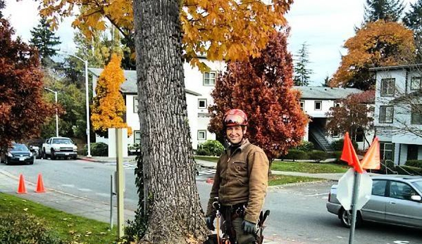 Saunders Tree Service LLC - Shoreline, WA