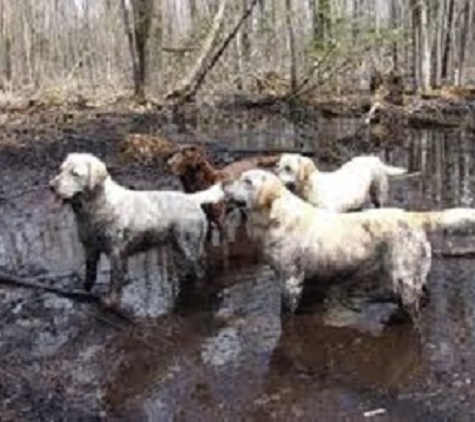 aussie doggy day spa - Rochdale, MA