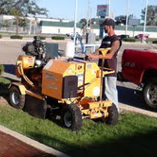 Top Flight Tree Removal LLC - Saginaw, MI