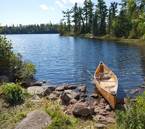 Forest Tree Service MN - Brainerd, MN