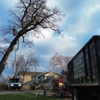 Upper Cut Tree Service gallery