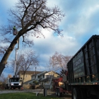 Upper Cut Tree Service