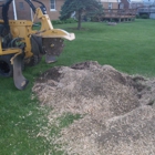 A1 Stump Grinding Service
