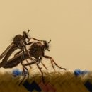 Agricultural Pest Control Services - Pest Control Equipment & Supplies