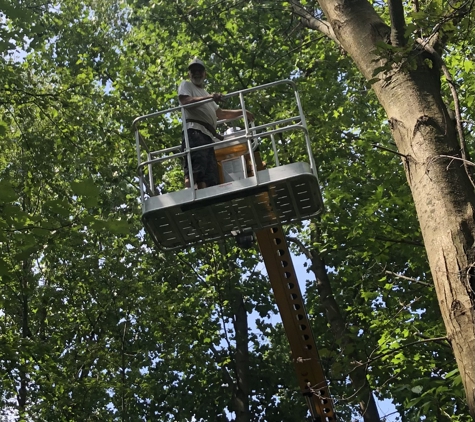 Greg's Tree Service - Kalamazoo, MI