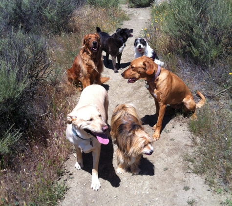 Home of the Furry - Fun & Safe Dog Boarding - Morgan Hill, CA