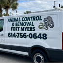 Animal Control & Removal Fort Myers - Pest Control Services