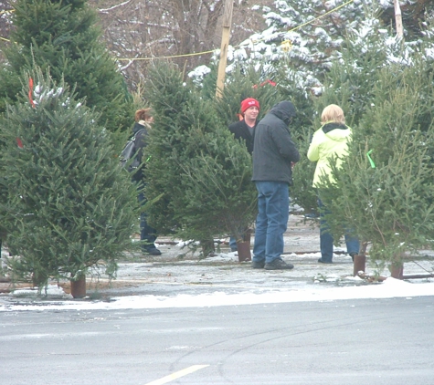 L & M Tree Farm - Appleton, WI