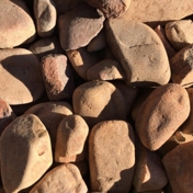 Gallery Image Number 3