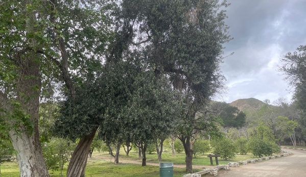 O'Melveny Park - Granada Hills, CA