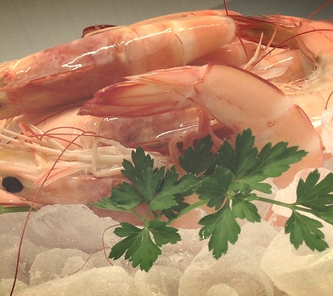 Latitude Fisheries Pty Ltd - West End, WA
