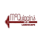 McQuiggin's Landscape